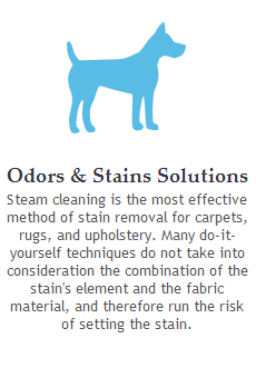 pet stains removals